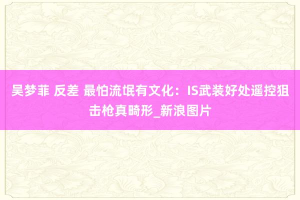 吴梦菲 反差 最怕流氓有文化:IS武装好处遥控狙击枪真畸形_新浪图片