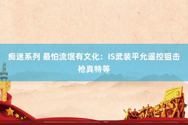 痴迷系列 最怕流氓有文化:IS武装平允遥控狙击枪真特等