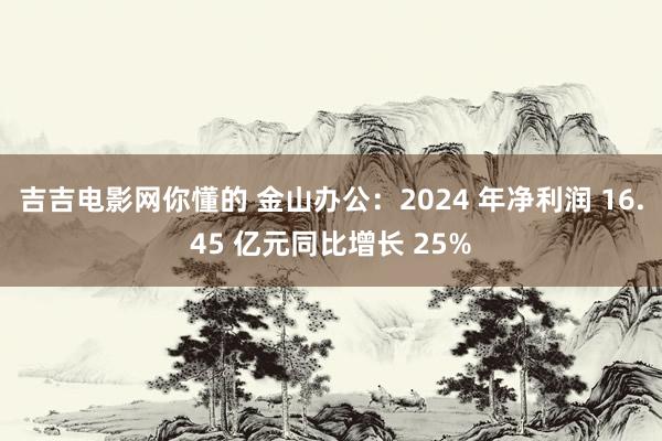 吉吉电影网你懂的 金山办公：2024 年净利润 16.45 亿元同比增长 25%