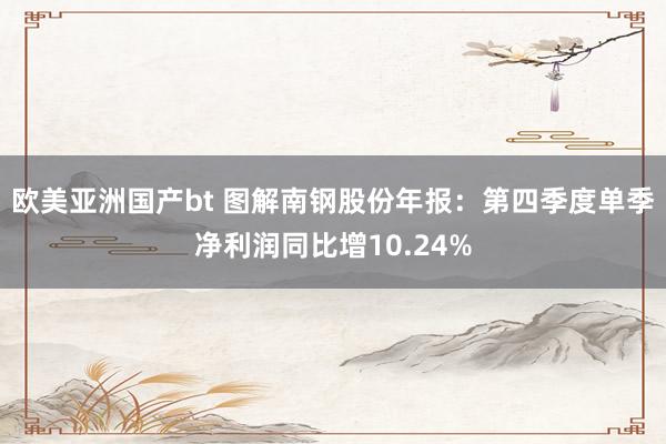 欧美亚洲国产bt 图解南钢股份年报：第四季度单季净利润同比增10.24%