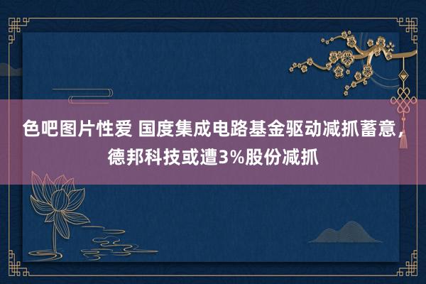 色吧图片性爱 国度集成电路基金驱动减抓蓄意，德邦科技或遭3%股份减抓