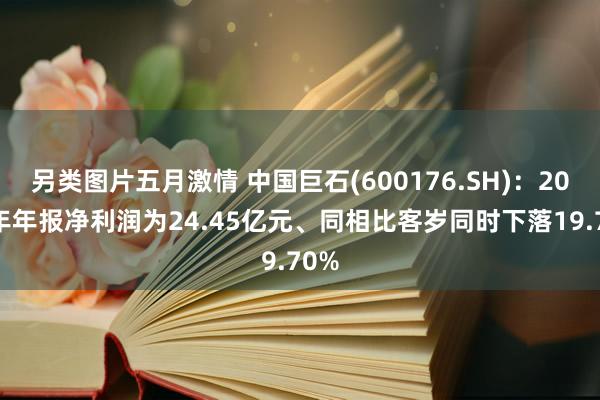 另类图片五月激情 中国巨石(600176.SH)：2024年年报净利润为24.45亿元、同相比客岁同时下落19.70%