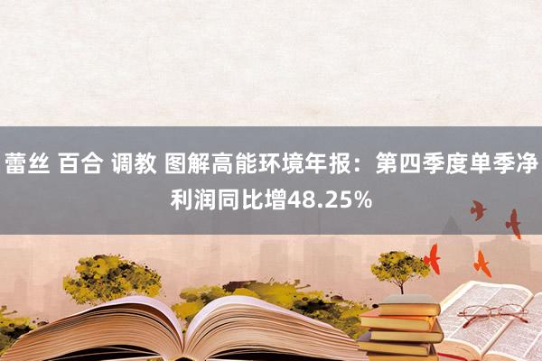 蕾丝 百合 调教 图解高能环境年报：第四季度单季净利润同比增48.25%