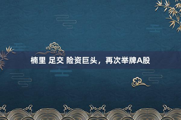 楠里 足交 险资巨头，再次举牌A股