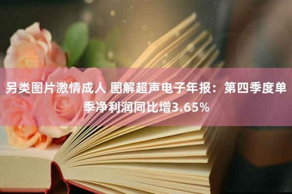 另类图片激情成人 图解超声电子年报：第四季度单季净利润同比增3.65%