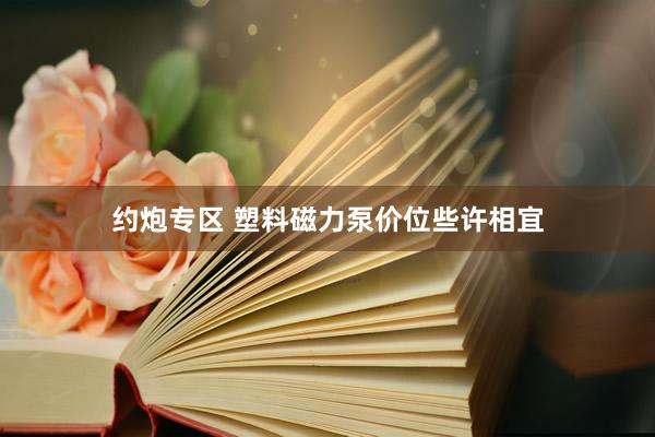 约炮专区 塑料磁力泵价位些许相宜