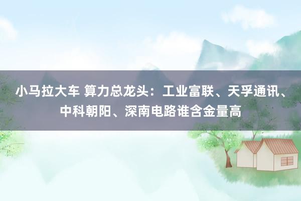 小马拉大车 算力总龙头：工业富联、天孚通讯、中科朝阳、深南电路谁含金量高