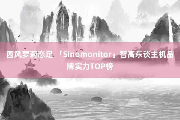 西风萝莉恋足 「Sinomonitor」智高东谈主机品牌实力TOP榜