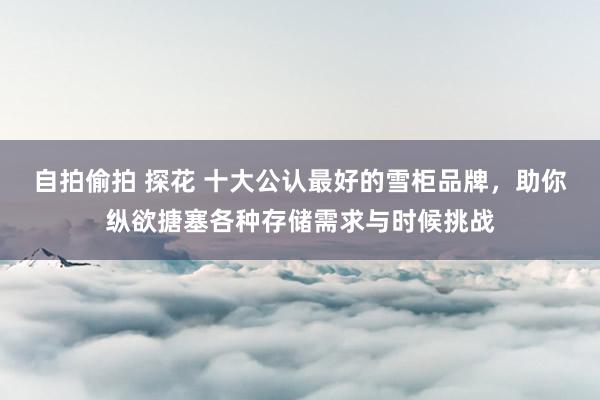 自拍偷拍 探花 十大公认最好的雪柜品牌，助你纵欲搪塞各种存储需求与时候挑战