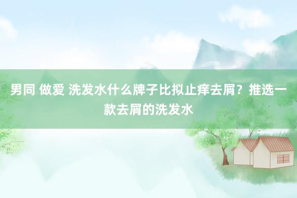 男同 做爱 洗发水什么牌子比拟止痒去屑？推选一款去屑的洗发水