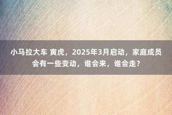 小马拉大车 寅虎，2025年3月启动，家庭成员会有一些变动，谁会来，谁会走？