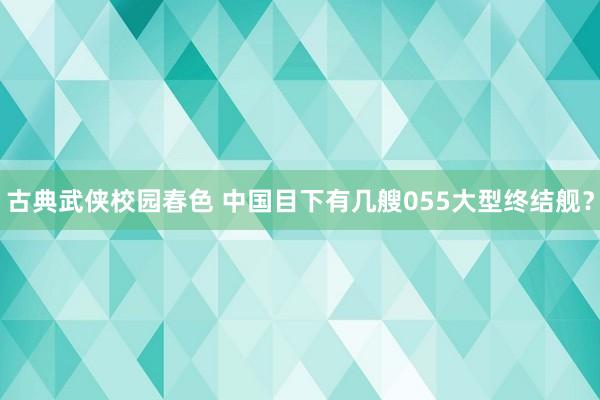 古典武侠校园春色 中国目下有几艘055大型终结舰？