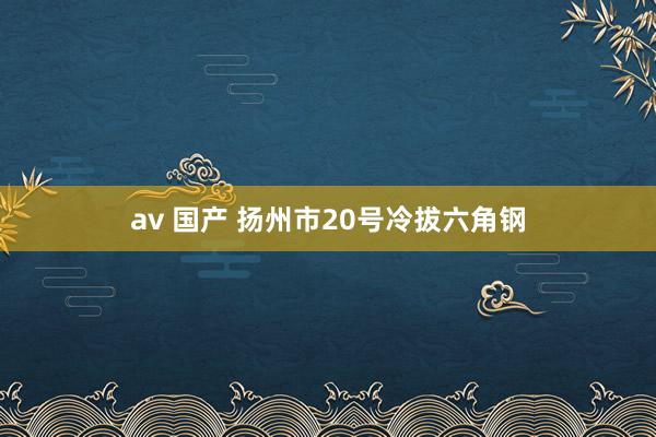 av 国产 扬州市20号冷拔六角钢