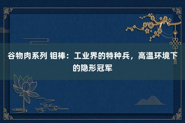 谷物肉系列 钼棒：工业界的特种兵，高温环境下的隐形冠军