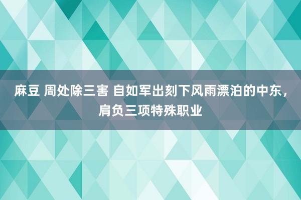 麻豆 周处除三害 自如军出刻下风雨漂泊的中东，肩负三项特殊职业