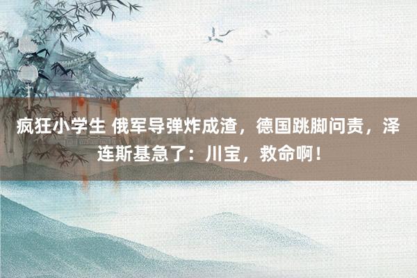 疯狂小学生 俄军导弹炸成渣，德国跳脚问责，泽连斯基急了：川宝，救命啊！