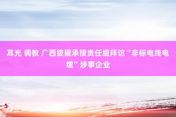 耳光 调教 广西拔擢承接责任组拜访“非标电线电缆”涉事企业