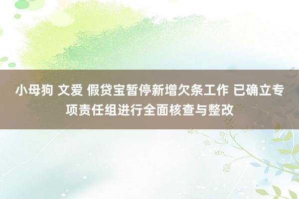 小母狗 文爱 假贷宝暂停新增欠条工作 已确立专项责任组进行全面核查与整改