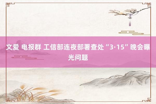 文爱 电报群 工信部连夜部署查处“3·15”晚会曝光问题