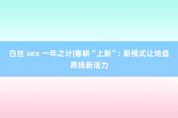 白丝 sex 一年之计|春耕“上新”: 新模式让地盘昂扬新活力