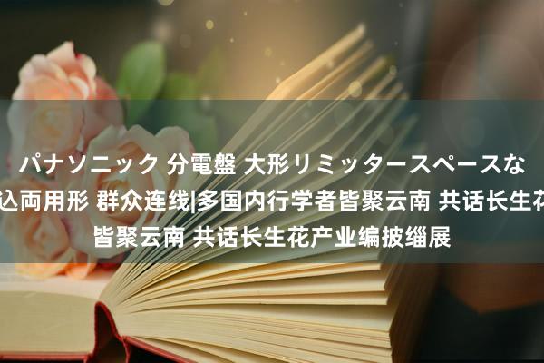 パナソニック 分電盤 大形リミッタースペースなし 露出・半埋込両用形 群众连线|多国内行学者皆聚云南 共话长生花产业编披缁展