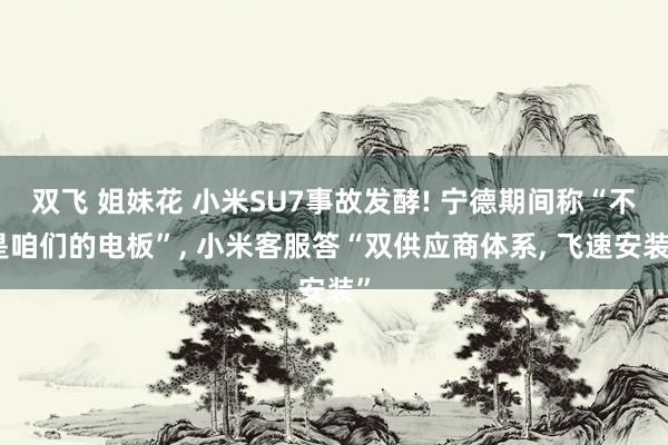 双飞 姐妹花 小米SU7事故发酵! 宁德期间称“不是咱们的电板”, 小米客服答“双供应商体系, 飞速安装”