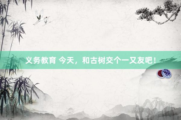 义务教育 今天，和古树交个一又友吧！