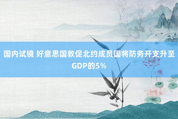 国内试镜 好意思国敦促北约成员国将防务开支升至GDP的5%