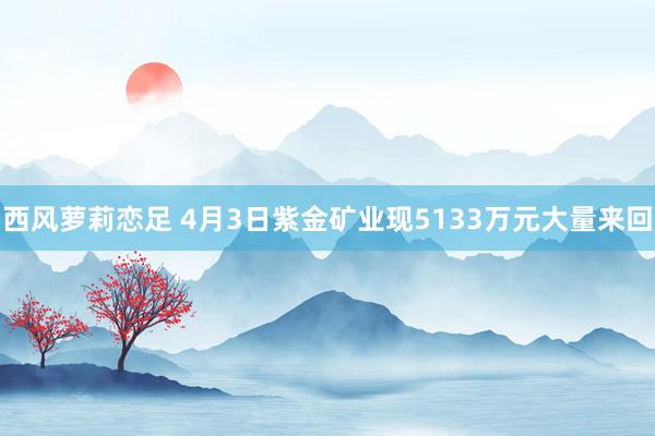 西风萝莉恋足 4月3日紫金矿业现5133万元大量来回