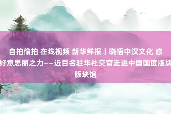 自拍偷拍 在线视频 新华鲜报丨晓悟中汉文化 感悟好意思丽之力——近百名驻华社交官走进中国国度版块馆