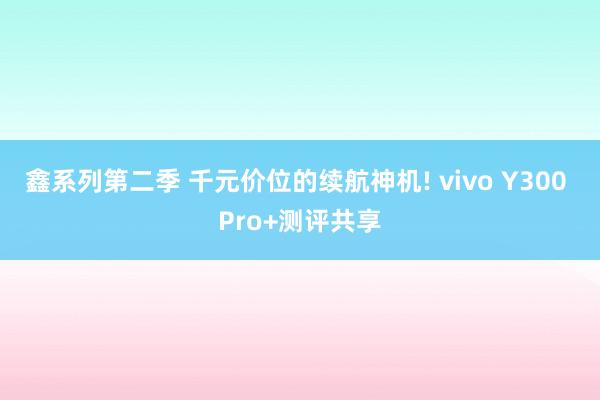 鑫系列第二季 千元价位的续航神机! vivo Y300 Pro+测评共享