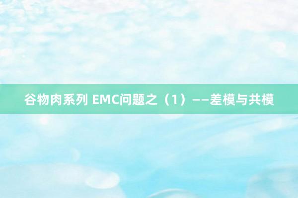 谷物肉系列 EMC问题之（1）——差模与共模