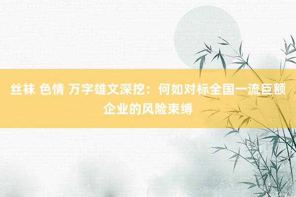 丝袜 色情 万字雄文深挖：何如对标全国一流巨额企业的风险束缚